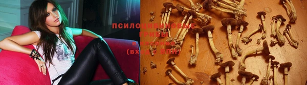 ECSTASY Зеленокумск