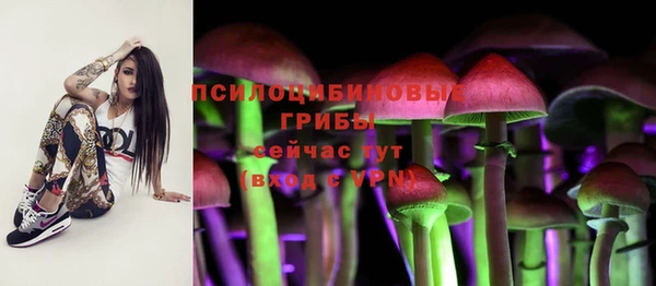 ешки Зерноград